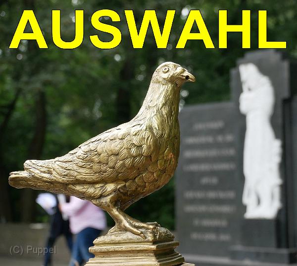 A Gedenkfeier Friedhof Maschsee Nordufer AUSWAHL.jpg